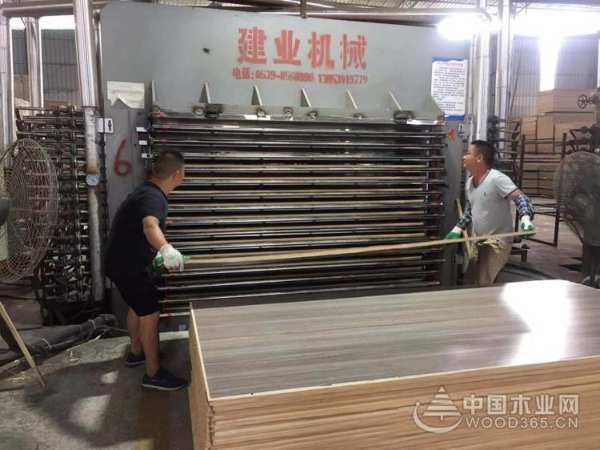 战酷暑斗高温 鹏森缘力保各市场板材供应