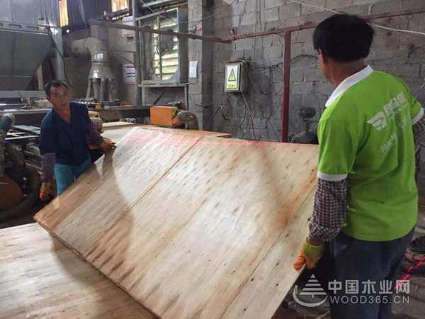 战酷暑斗高温 鹏森缘力保各市场板材供应