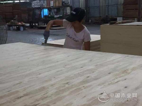战酷暑斗高温 鹏森缘力保各市场板材供应