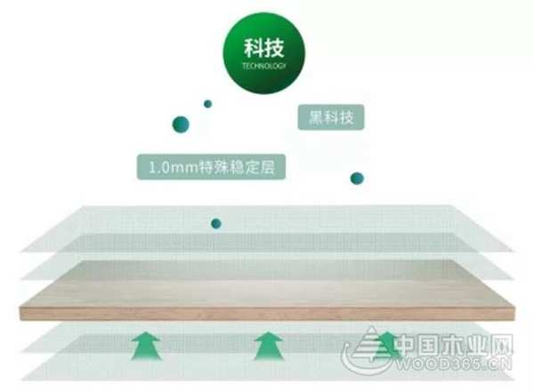 【NEW】兔宝宝双效生态板“科技环保 双效合一”