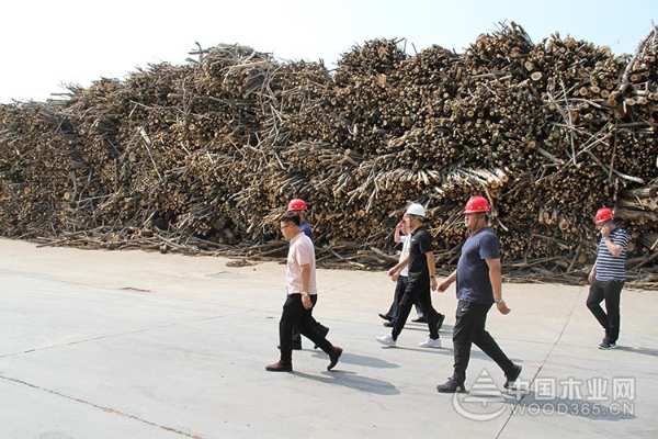 吉林森工人造板集团总经理一行到河南佳诺威木业参观交流