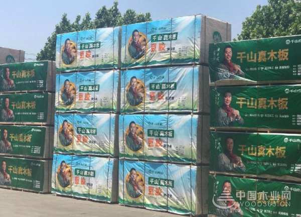 这次别大意，新家具选择千山大豆胶板！