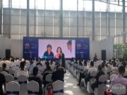 学习交流开阔眼界  桥牌永葆旺盛的生命力