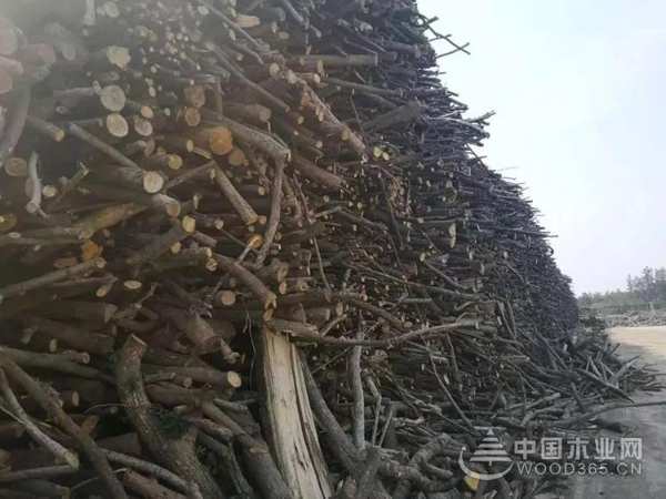 中国科林F4星纯净板