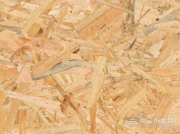 产品星搭档 ▏千年舟·澳思柏恩打造0醛生活 引领行业变革