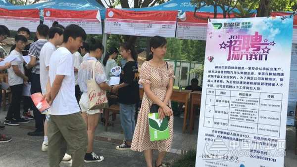 鹏森缘开启校园招聘，广纳贤士促企业发展