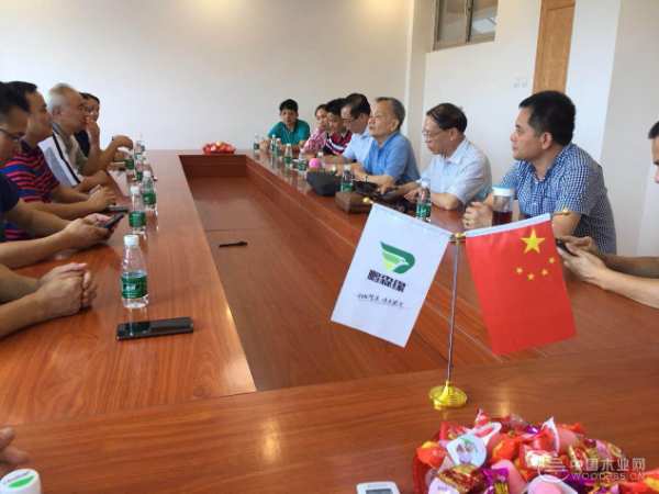 广西林业产业行业协会秘书长黄永平一行莅临鹏森缘参观考察