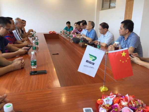 广西林业产业行业协会秘书长黄永平一行莅临鹏森缘参观考察