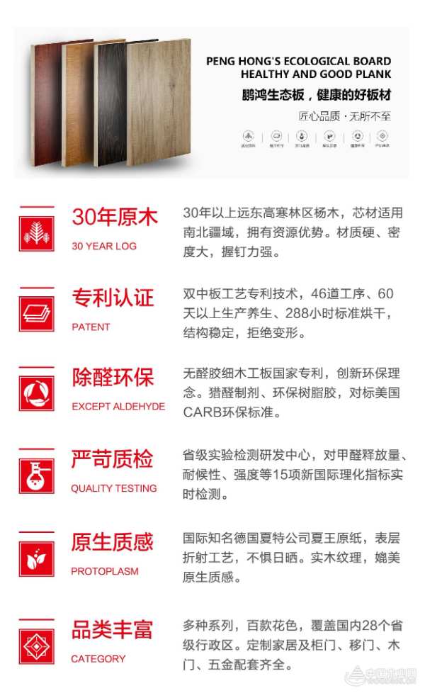 鹏鸿木业集团携手中国木业网 发展之路如虎添翼