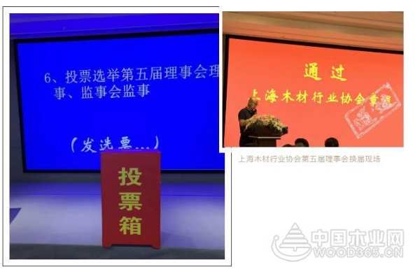 荣誉之下·重担在肩｜热烈祝贺平安树董事长崔海明先生当选上海木材行业协会副会长！