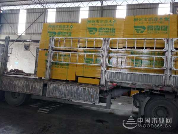产销两旺 鹏森缘模板无惧天气发货全国