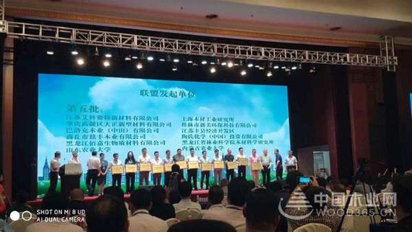 喜传佳绩 鼎丰木业荣获“无醛人造板国家创新联盟发起单位”荣誉称号