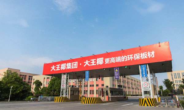 自主制造、环保、创新……给你爱上大王椰的十个理由！
