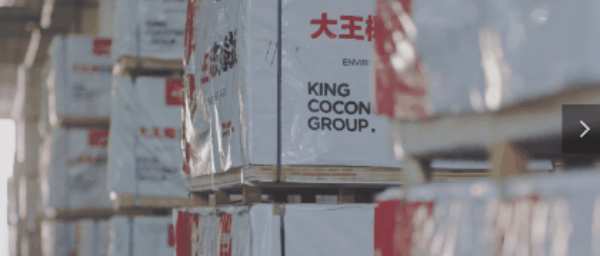 自主制造、环保、创新……给你爱上大王椰的十个理由！