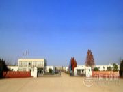 禾金刚板材：探索增长新引擎 步入发展快车道