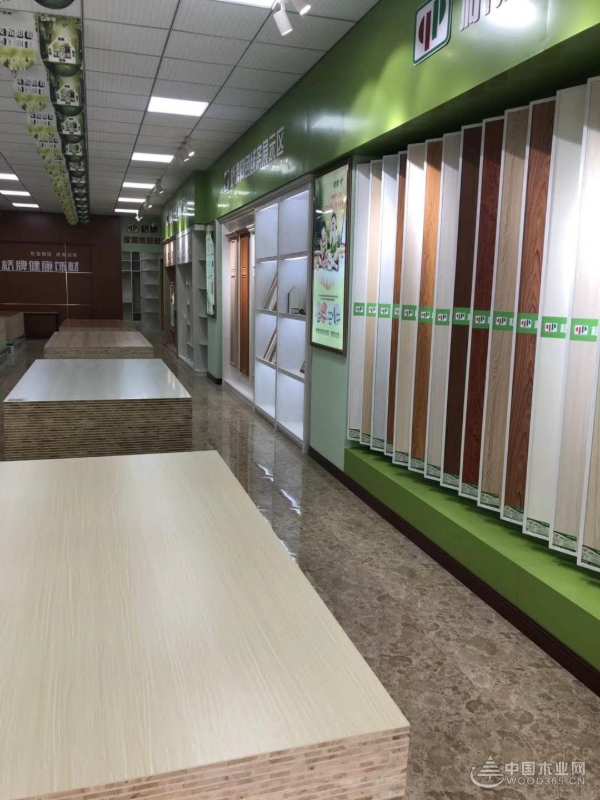 脚踏实地 深耕多年 桥牌发展步入快车道