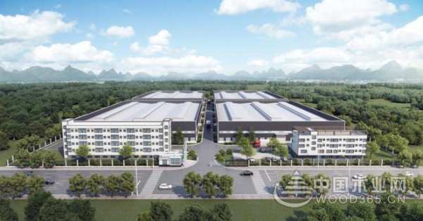 脚踏实地 深耕多年 桥牌发展步入快车道