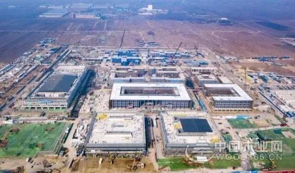 从绿色人居构筑者到城市价值领创者，兔宝宝“城市运营年”来袭！