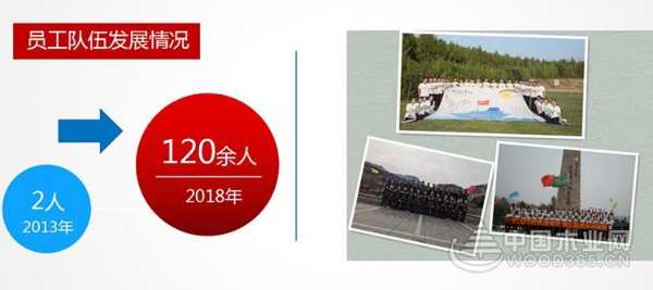 优饰发展的