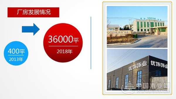 优饰发展的