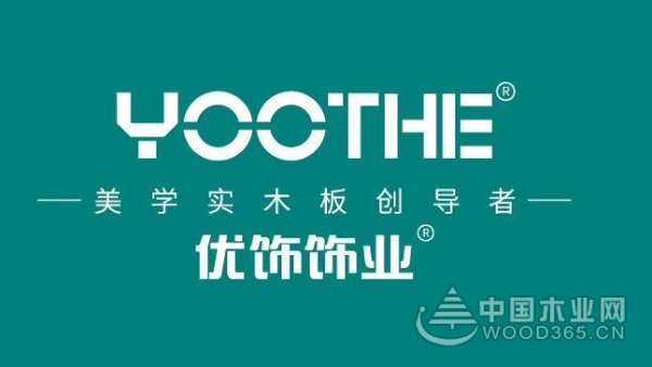 优饰发展的