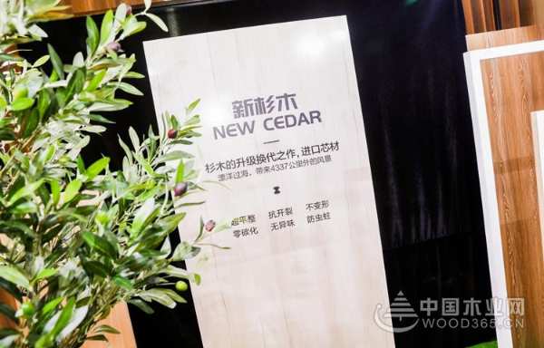 一“板”搞定消费三大痛点，大王椰新杉木生态板震撼上市