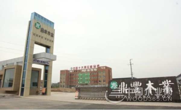 鼎丰木业加码品牌建设 与中国木业网达成战略合作