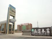 鼎丰木业加码品牌建设 与中国木业网达成战略合作