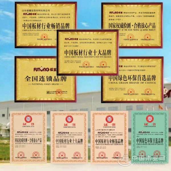 签约著名影视演员陈美行 福童板材品牌再升级！