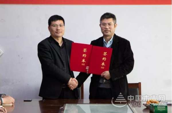 优饰饰业携手大风在线，开启品牌视频营销传播新起点