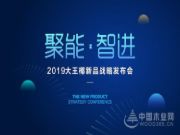 创新领路，聚势赋能，2019大王椰新品隆重上市！