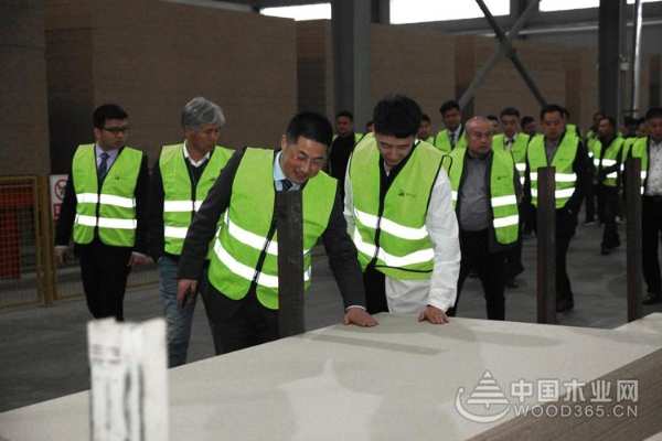 共创共赢共享 阳光照进绿色健康家