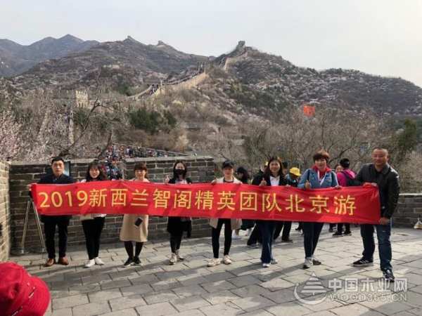 智阁板材丨2019精英团队北京游圆满结束