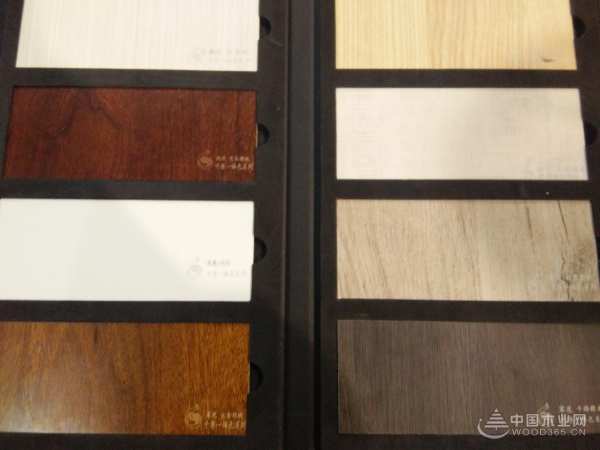 惊艳临沂展会 山东千原木业展现品牌成熟魅力