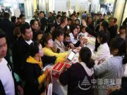 欢乐熊成为装饰公司、传统建材商转型新归宿