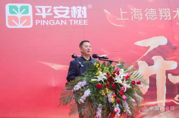 平安树山东运营中心开业、临沂质检中心成立仪式暨平安树全国经销商大会圆满落幕！