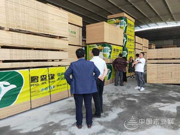 鹏森缘高层走访重庆黔江鹏森缘全屋定制销售中心 共绘发展宏图！