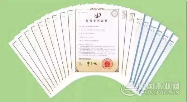 延续辉煌，兔宝宝荣获“2019 CBD TOP100品牌”殊荣