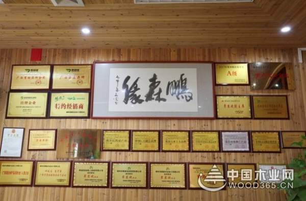 鹏森缘“品牌服务下网点”人才培养大计拉开帷幕