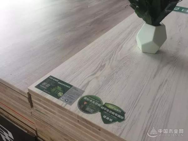 益家居超平生态板 为家而生