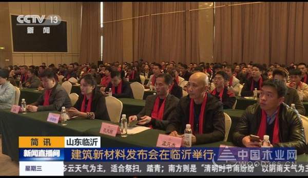 CCTV-13央视新闻频道:千山木业大豆胶板材成建筑环保新材料