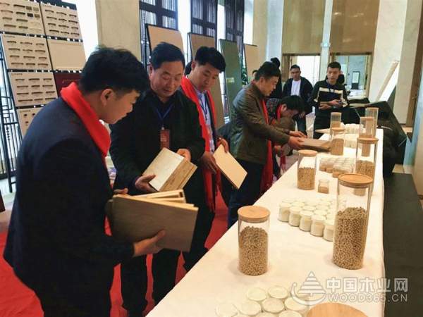 CCTV-13央视新闻频道:千山木业大豆胶板材成建筑环保新材料
