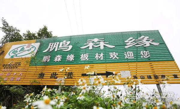 【探秘柳城】秘密武器助力板材“黑马”冲向全国！
