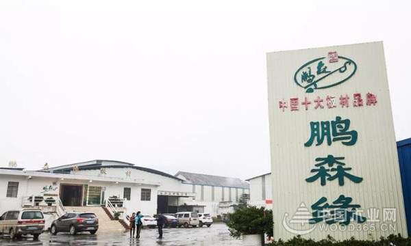 【探秘柳城】秘密武器助力板材“黑马”冲向全国！