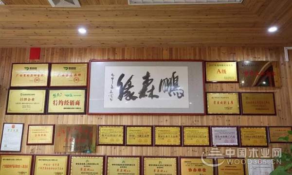 【探秘柳城】秘密武器助力板材“黑马”冲向全国！