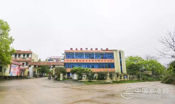 【探秘柳城】秘密武器助力板材“黑马”冲向全国！