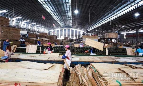 【探秘柳城】秘密武器助力板材“黑马”冲向全国！