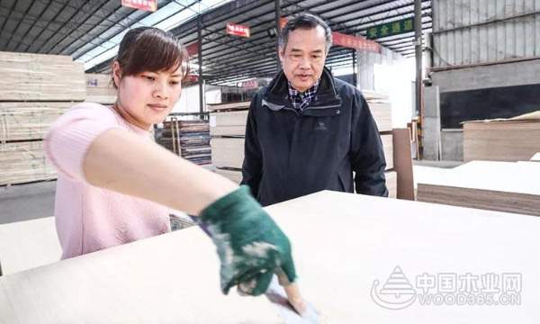 【探秘柳城】秘密武器助力板材“黑马”冲向全国！