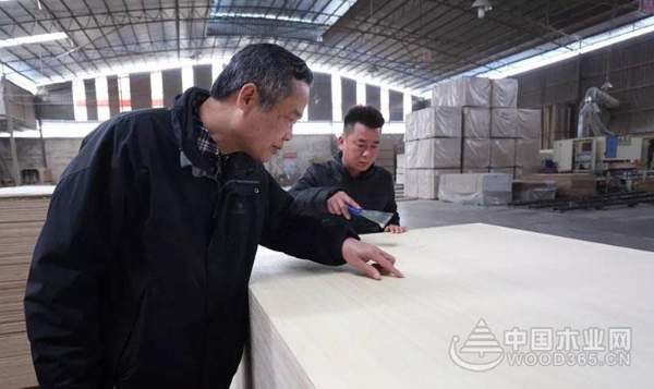 【探秘柳城】秘密武器助力板材“黑马”冲向全国！