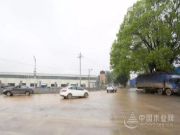 【探秘柳城】秘密武器助力板材“黑马”冲向全国！